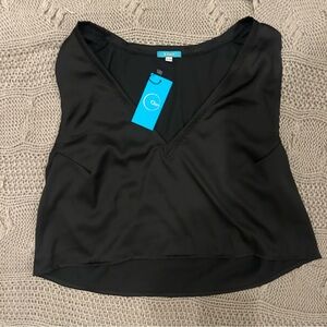 Elegant Black V-Neck Blouse